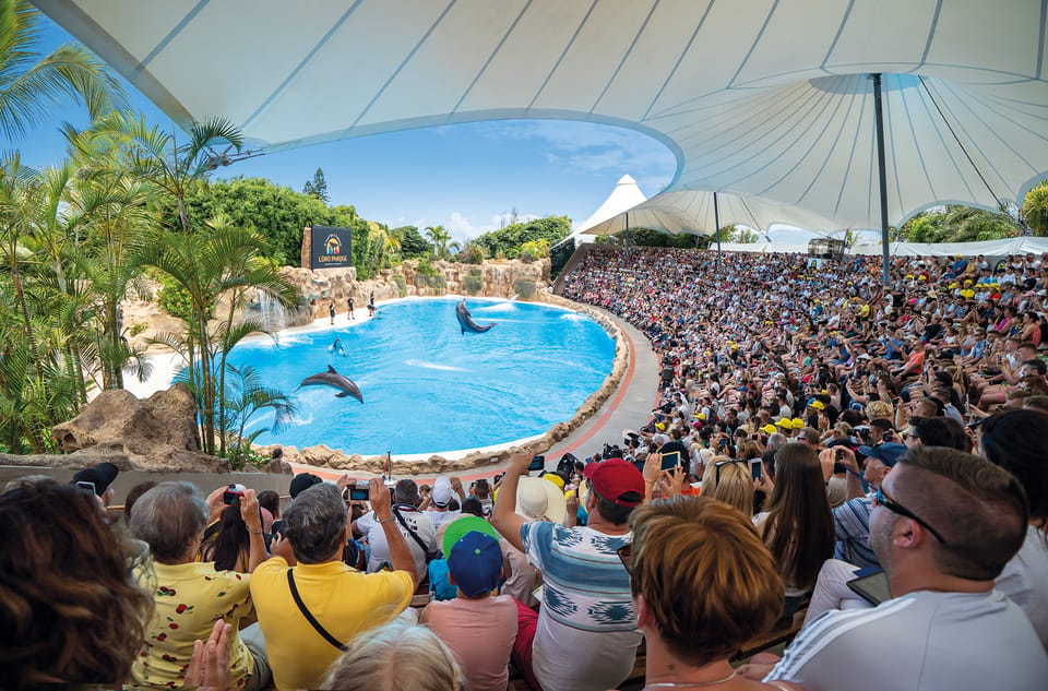 Loro Parque and Siam Park Combined Admission Tickets - Water Shoes and Weather: Small Choices That Change Your Comfort