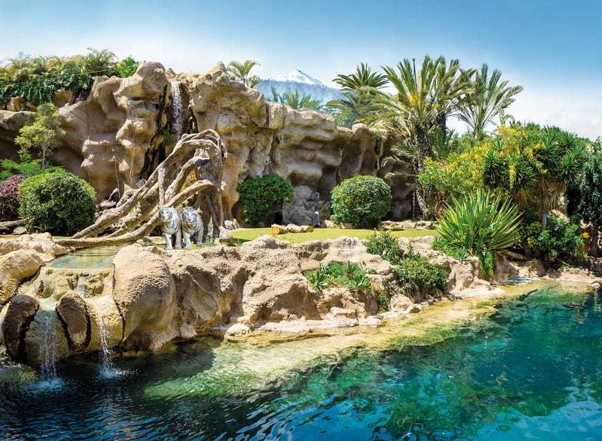 Loro Parque and Siam Park Combined Admission Tickets - Transport Across Tenerife: North to South Without Waste