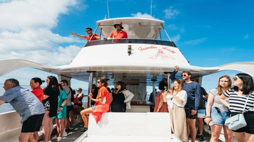 Los Cristianos: Eco Yacht Whale Watching Tour at Sunset - The 90 minutes: how the timing plays out on the water