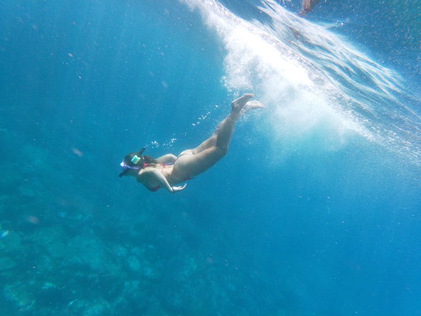 Los Cristianos: Kayak and Snorkel with Turtles and Photos - Guides and safety: how the trip stays calm and organized