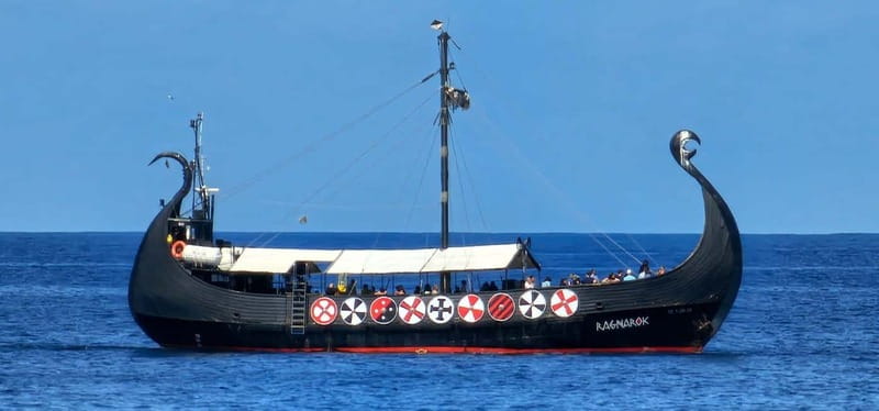 Los Cristianos: Viking Cruise Whales & Dolphins Watching - Who should book (and who should reconsider)