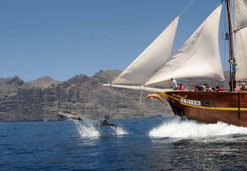 Los Gigantes: Dolphin and Whale Watching Tour with Drinks - Key highlights worth planning around