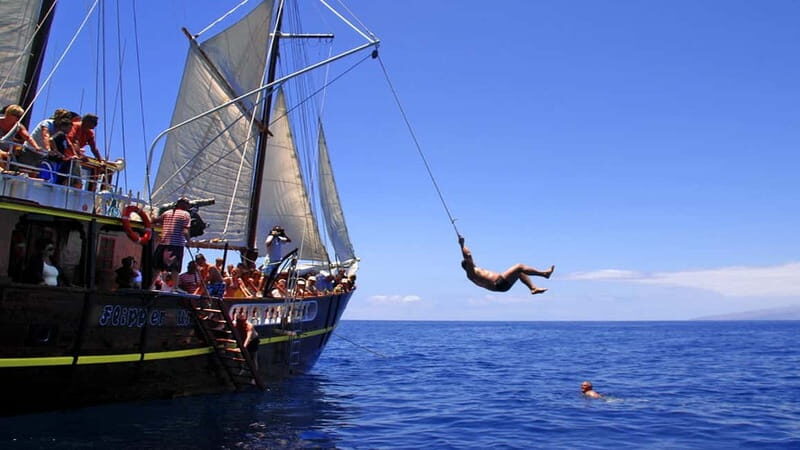 Los Gigantes: Dolphin and Whale Watching Tour with Drinks - Who this tour suits best (and who should think twice)