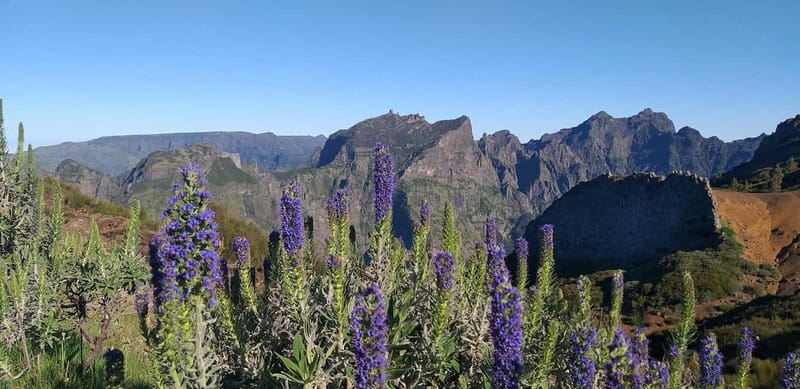 Madeira East Island Tour and Levada Walk - Key Things You’ll Notice on This East Madeira Tour