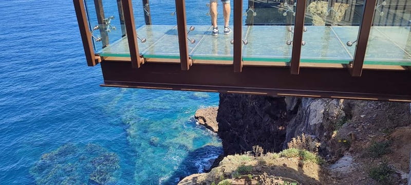 Madeira East Island Tour and Levada Walk - Ribeiro Frio and the Laurissilva Levada Walk: The Best Part for Your Legs and Your Senses
