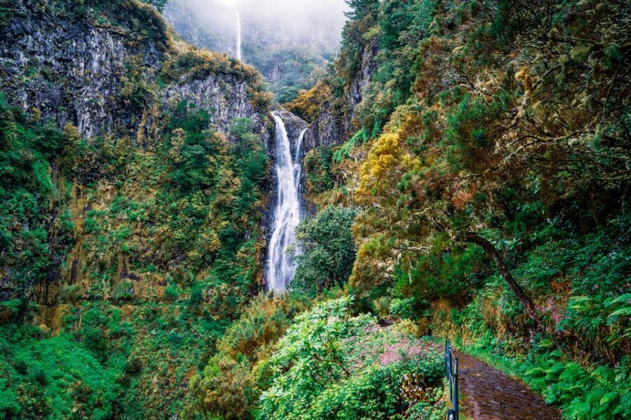 Madeira: Enjoy a Guided Levada Walk in the Rabaçal Valley - Higher moorland, forests, and that endemic plant spotting mindset