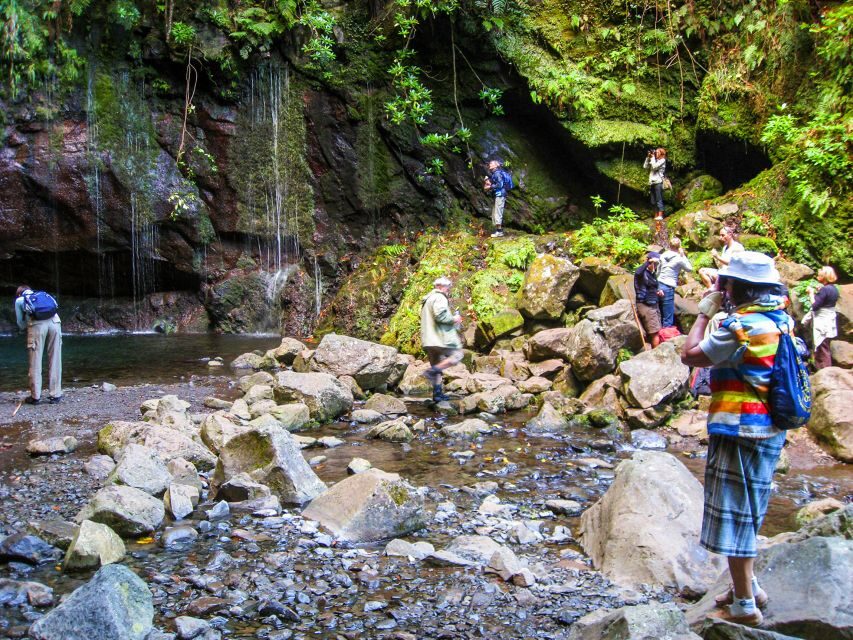 Madeira: Enjoy a Guided Levada Walk in the Rabaçal Valley - Levada das 25 Fontes: the cliff lagoon with 25 springs