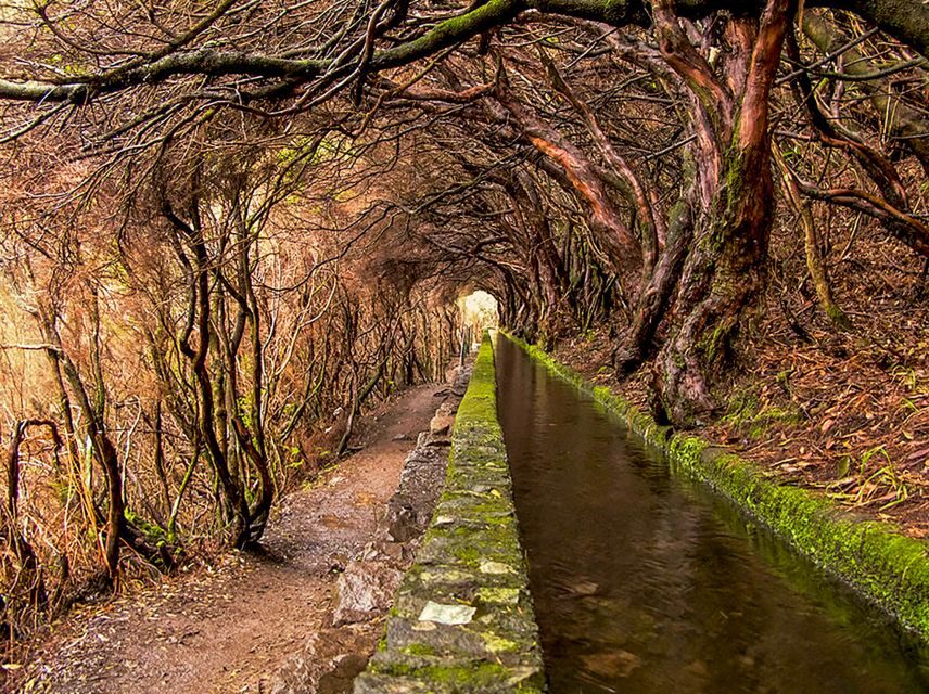Madeira: Enjoy a Guided Levada Walk in the Rabaçal Valley - The wet 800m tunnel: why it’s fun and what to bring