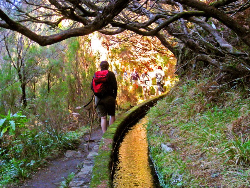 Madeira: Enjoy a Guided Levada Walk in the Rabaçal Valley - Terrain, pacing, and safety: what your body should expect