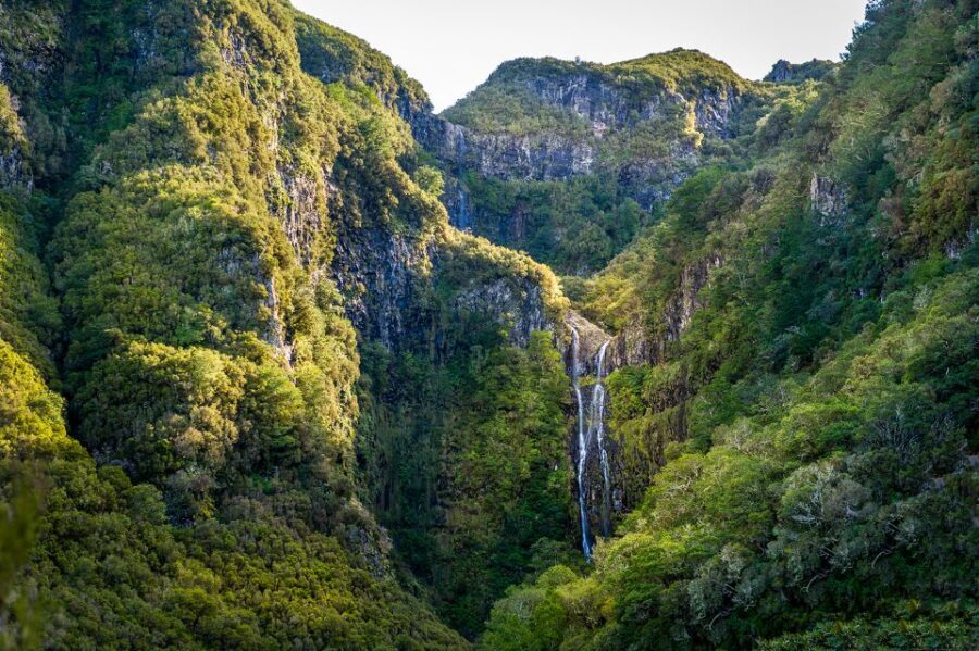 Madeira: Enjoy a Guided Levada Walk in the Rabaçal Valley - Value check: is the $50 price fair for what you get?