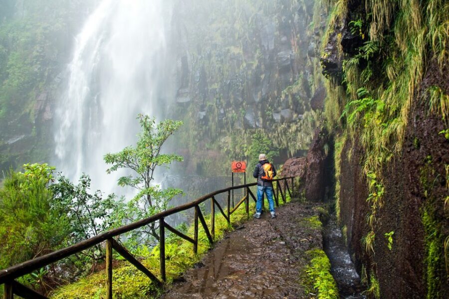 Madeira: Enjoy a Guided Levada Walk in the Rabaçal Valley - Quick tips to make your 8 hours smoother