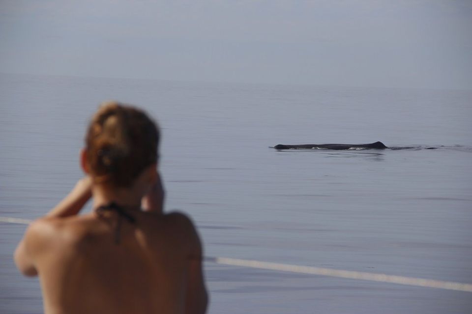 Madeira: Funchal Sunset Tour by Catamaran - A quick note on guides: if you get André, you’re in good hands