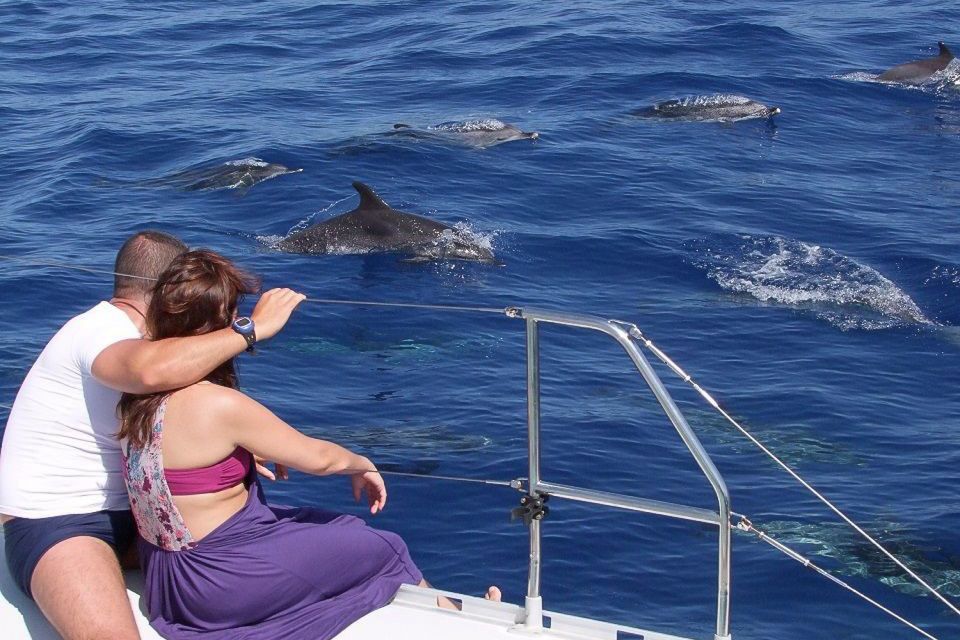 Madeira: Funchal Sunset Tour by Catamaran - Why a Funchal sunset from a catamaran feels like a different day