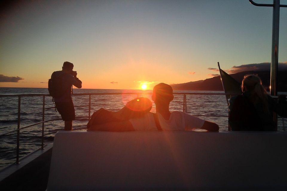 Madeira: Funchal Sunset Tour by Catamaran - Cruising the south coast: dolphin and whale spotting with real context