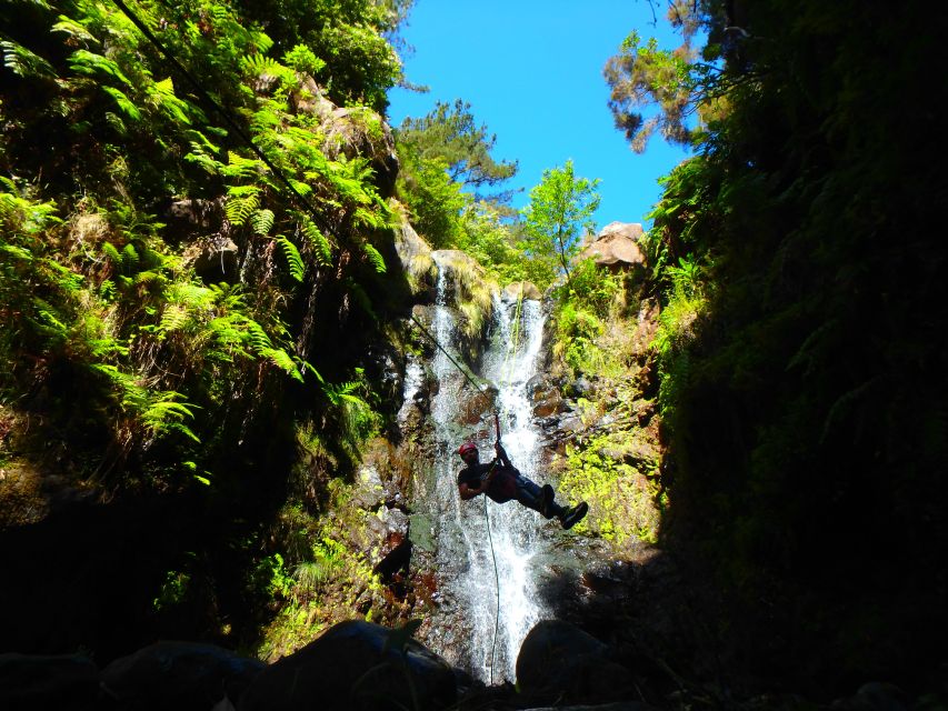 Madeira: Level-1 Canyoning Adventure - Madeira Level-1 Canyoning: why this feels different from a hike