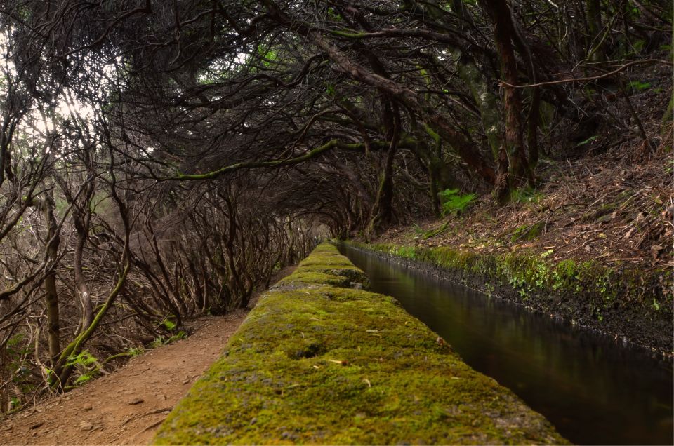Madeira Walks - Rabaçal and the 25 Fountains - Rabaçal Nature Reserve: What Makes This Walk Worth the Time