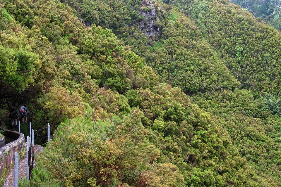 Madeira Walks - Rabaçal and the 25 Fountains - The 25 Fountains: Why That Crystal-Clear Lake Hits So Hard