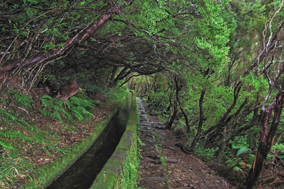 Madeira Walks - Rabaçal and the 25 Fountains - Café Breaks and Lunch Reality: How to Stay Energized