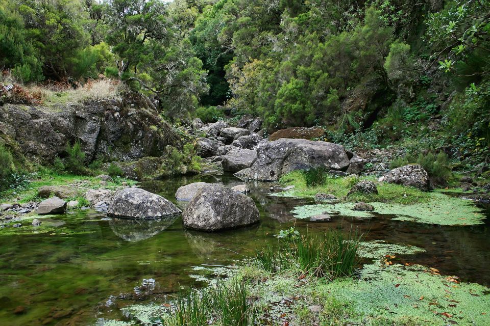 Madeira Walks - Rabaçal and the 25 Fountains - Price and Value: Is $50 Fair for What You Get?
