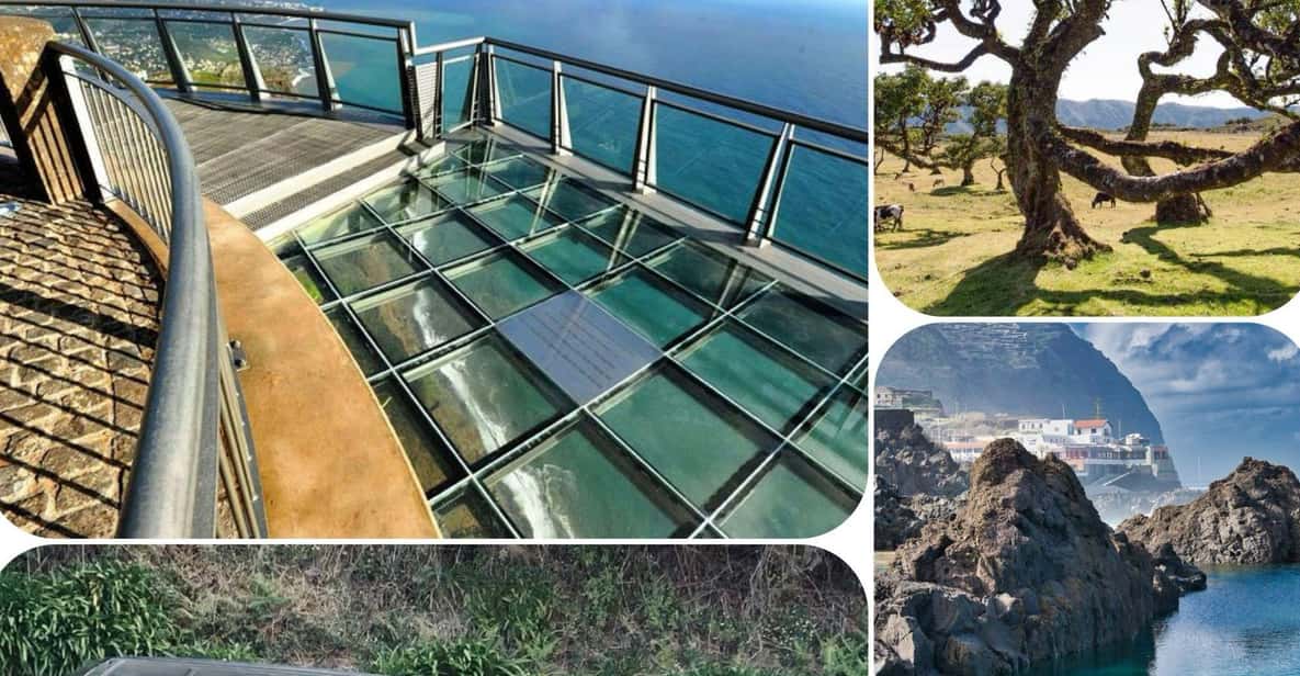 Madeira: West Tour With Guide Fanal Forest SykWalkExperience - A West Madeira day that packs the right highlights