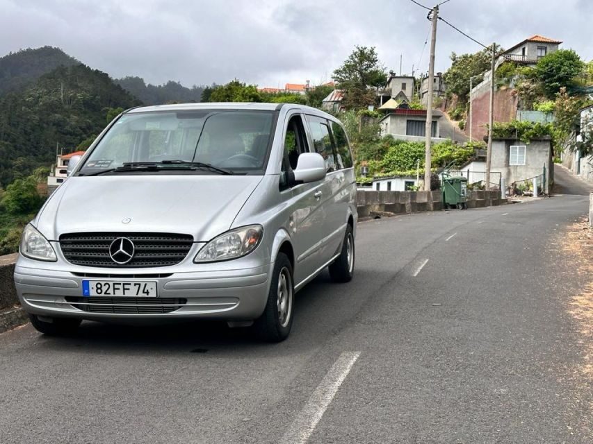 Madeira: Western Madeira Guided Trip & Fanal Mystic Forest - Ribeira Brava: coastal passing with the road to Fanal