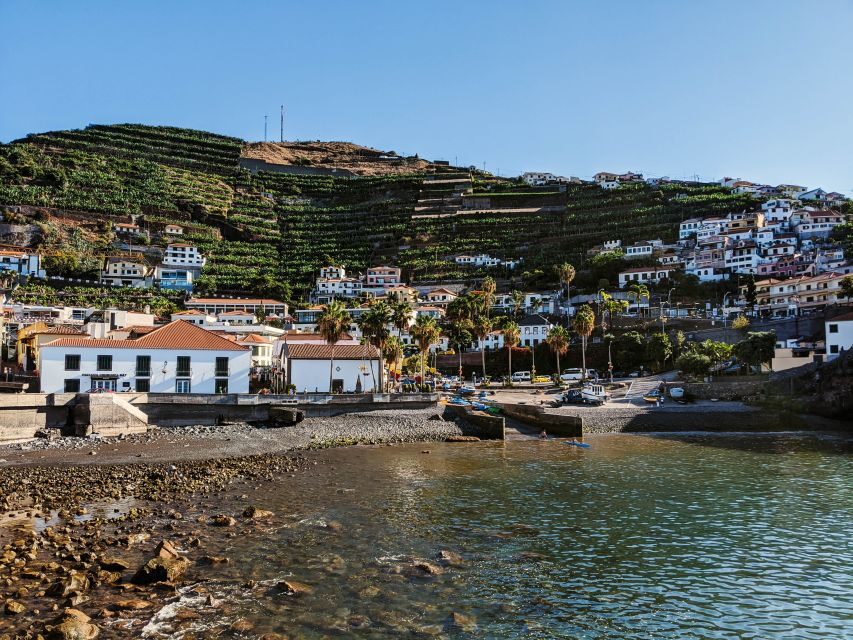 Madeira: Western Madeira Guided Trip & Fanal Mystic Forest - Ribeira da Janela: north-coast drama without the driving headache