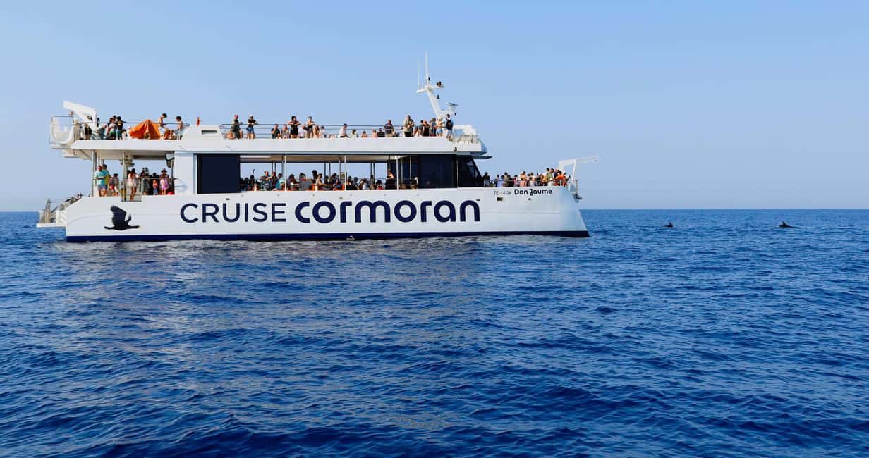 Mallorca: 2-Hour Dolphin Watching Cruise & Glass-Bottom Boat - Swim Stop: Sometimes There’s Time to Jump In