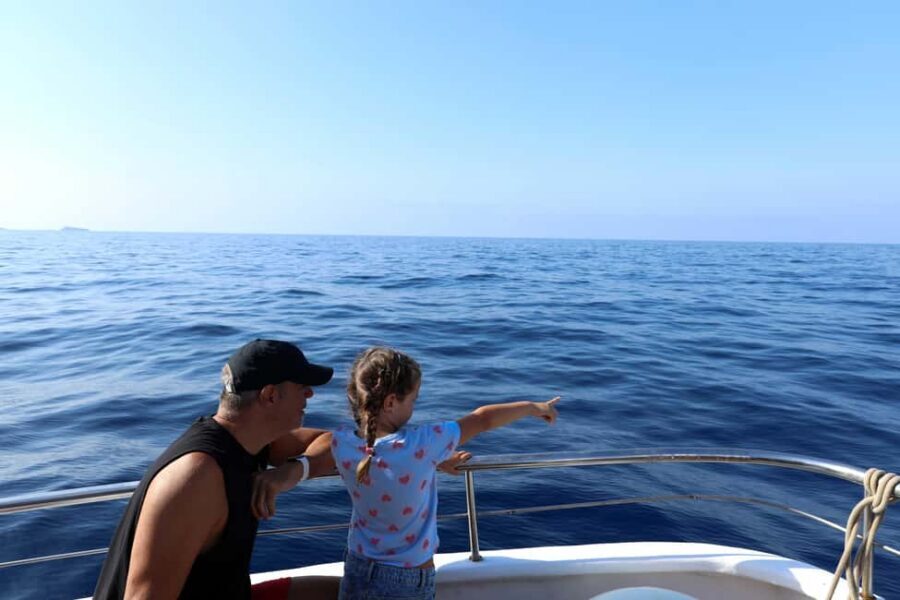 Mallorca: 3-Hour Afternoon Dolphin Watching Boat Tour - Drinking and Food: What’s Included vs What You’ll Pay For