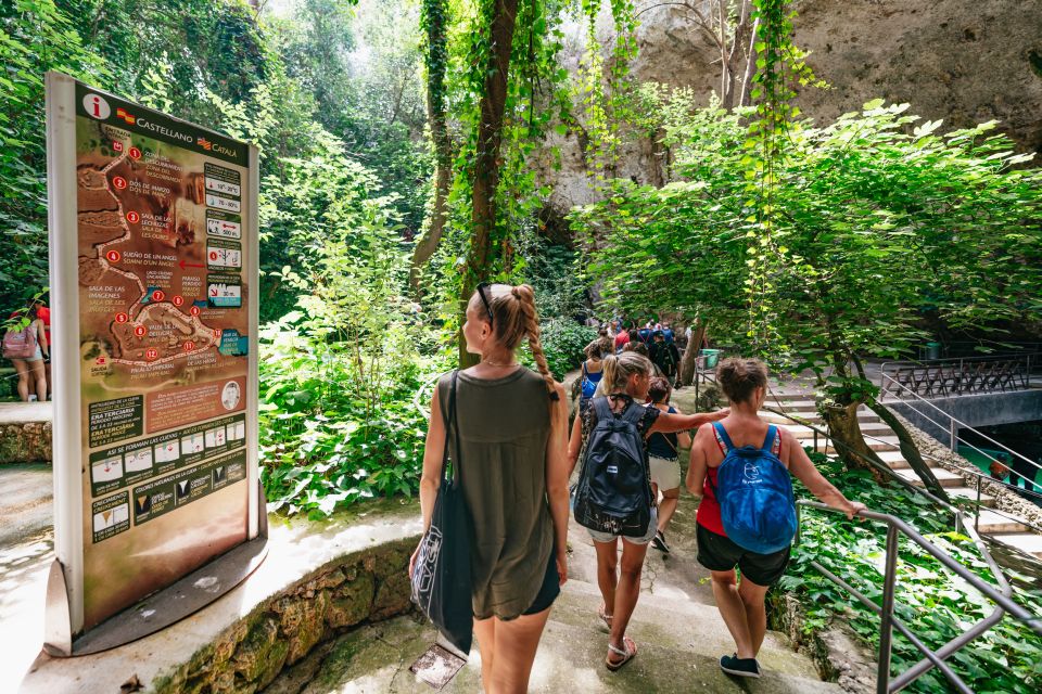 Mallorca: Caves of Drach Day Trip & Optional Caves of Hams - Manacor Pearl Factory: What You Learn vs. What You Buy