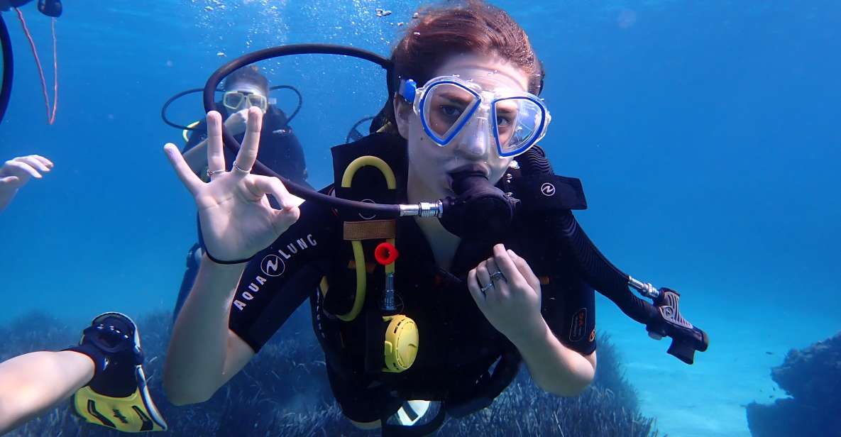 Mallorca: Discover Scuba Diving for Beginners - Key highlights worth knowing