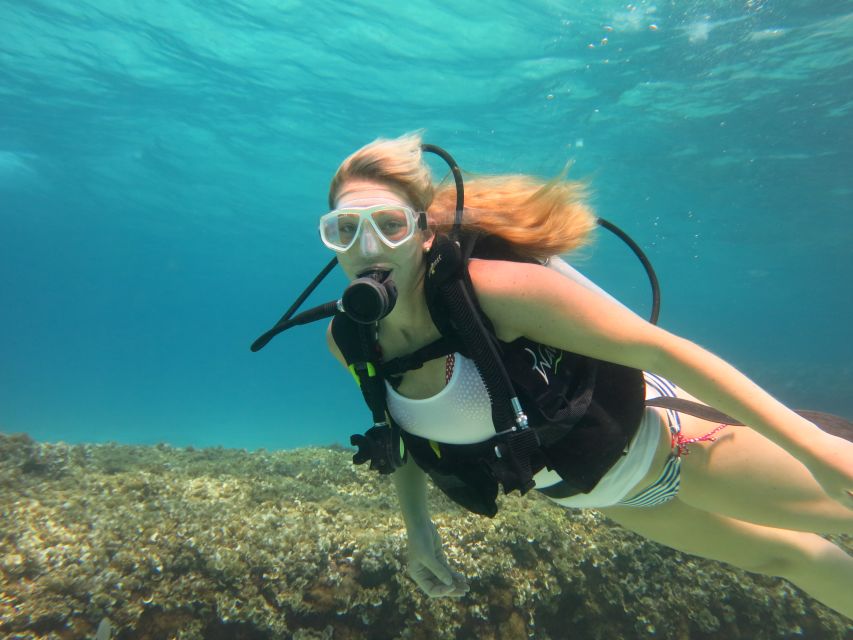 Mallorca: Discover Scuba Diving for Beginners - Your first controlled underwater experience: what happens when you descend