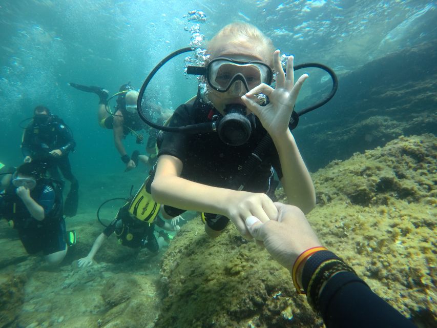 Mallorca: Discover Scuba Diving for Beginners - The PADI credential: what you get after you finish