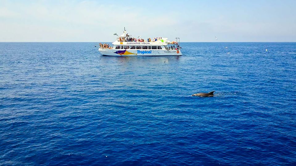 Mallorca: Dolphin Watching Cruise - Food and drinks onboard: control your budget, keep the vibe easy