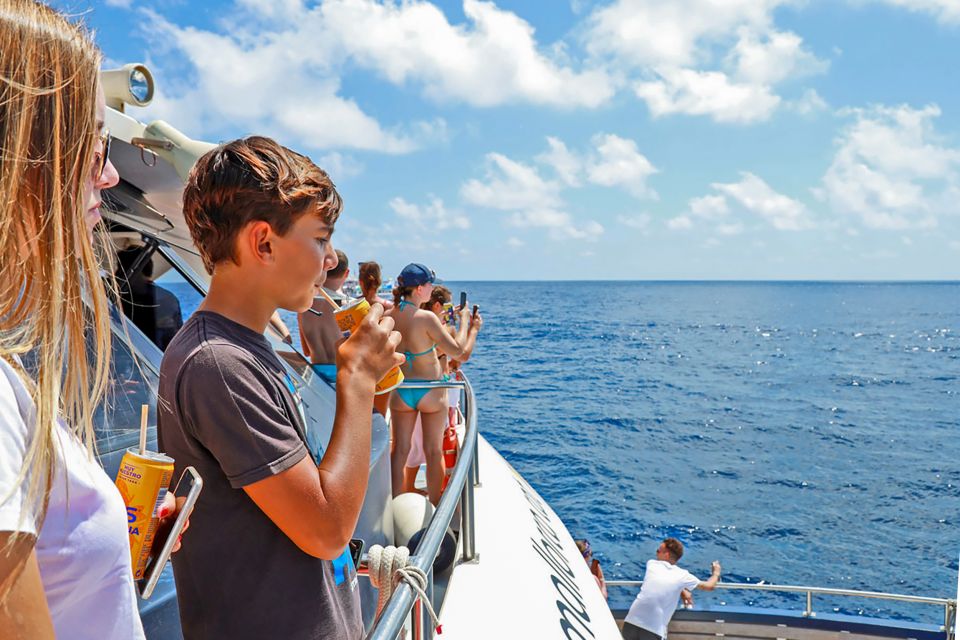 Mallorca: Dolphin Watching Cruise - Crowds and comfort: how to avoid the two common headaches