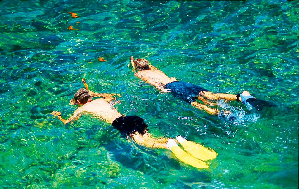 Mallorca: Dolphin Watching Cruise - Why the $54 price can make sense (and where it can surprise you)