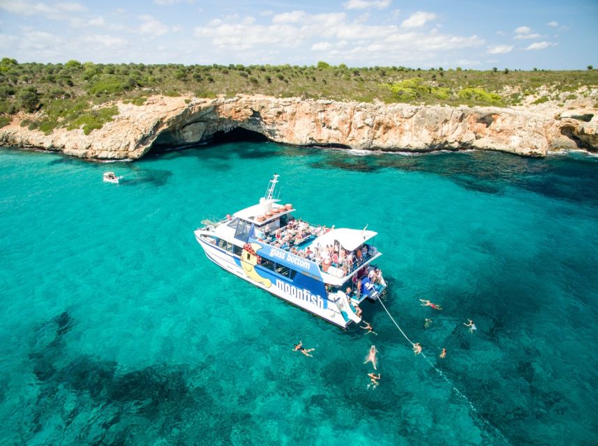 Mallorca: Glass-Bottom Catamaran Along the East Coast - Accessibility and Getting There: Piers Matter