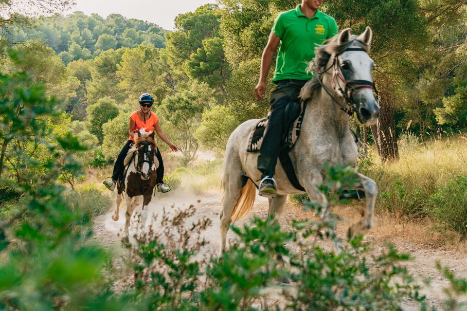 Mallorca: Horseback Riding Experience with Food Options - Key highlights at Ranxo Ses Roques