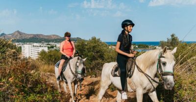 Mallorca: Horseback Riding Experience with Food Options - Getting Oriented: Feeding the Farm and Mounting with Confidence