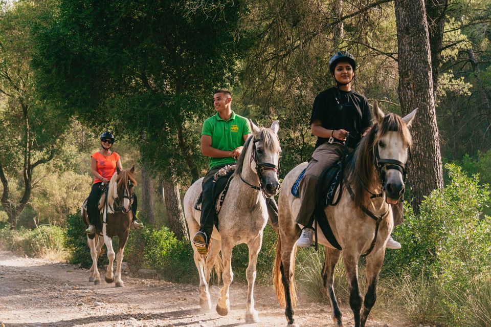 Mallorca: Horseback Riding Experience with Food Options - Choosing 1 Hour vs 2 Hours: How to Match It to Your Day