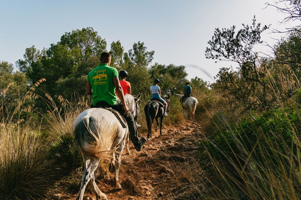 Mallorca: Horseback Riding Experience with Food Options - Price and Value: What $42 Gets You (and Why It Feels Fair)