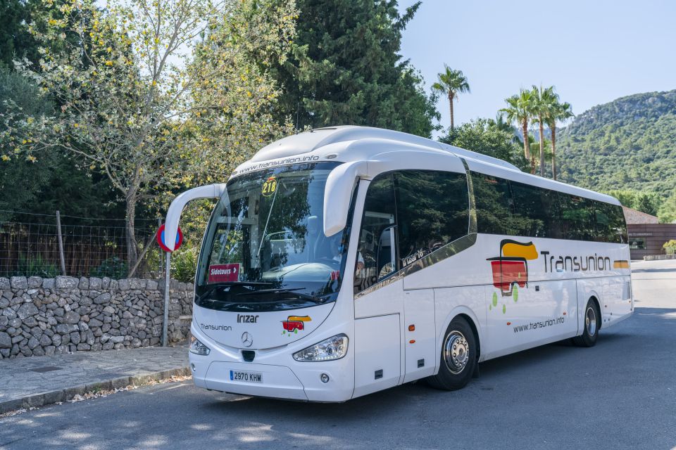 Mallorca: Island Tour with Boat, Tram & Train from the South - The Wooden Electric Train to Palma: Tunnels, Views, and That Satisfying Final Stretch