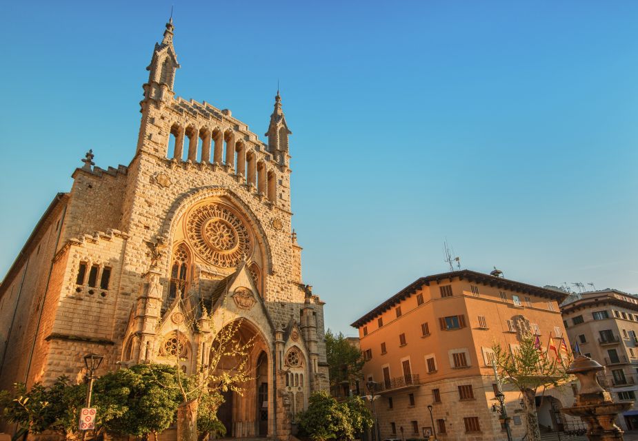Mallorca: Island Trip by Train, Tramway, and Boat - Who this trip suits best (and who might be happier elsewhere)
