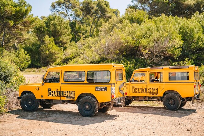 Mallorca: Kayaking, Sea Cave, Cliff Jumping & Snorkel Tour - Price and value: what $83.44 buys you