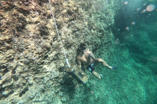 Mallorca: Kayaking, Sea Cave, Cliff Jumping & Snorkel Tour - Kayaking Along Mallorca’s Northern Coast (La Victòria Area)