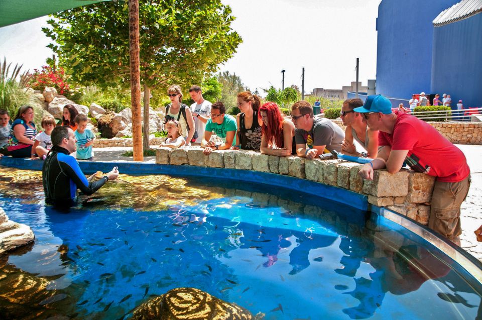 Mallorca: Palma Aquarium Entry Ticket w/ Optional 3D Cinema - Mediterranean, Tropical, Medusarium, and the rest: what themed tanks change for you