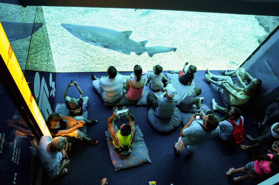 Mallorca: Palma Aquarium Entry Ticket w/ Optional 3D Cinema - Aquadome 3D cinema: when it’s worth adding the whale show