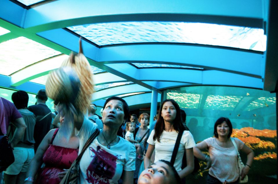 Mallorca: Palma Aquarium Entry Ticket w/ Optional 3D Cinema - Outdoor family areas: play spaces that don’t ruin your adult sightseeing