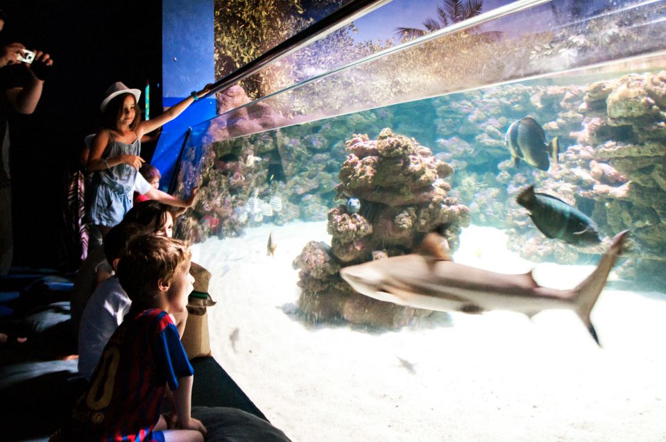 Mallorca: Palma Aquarium Entry Ticket w/ Optional 3D Cinema - Practical timing: opening hours, last entry, and how long to plan