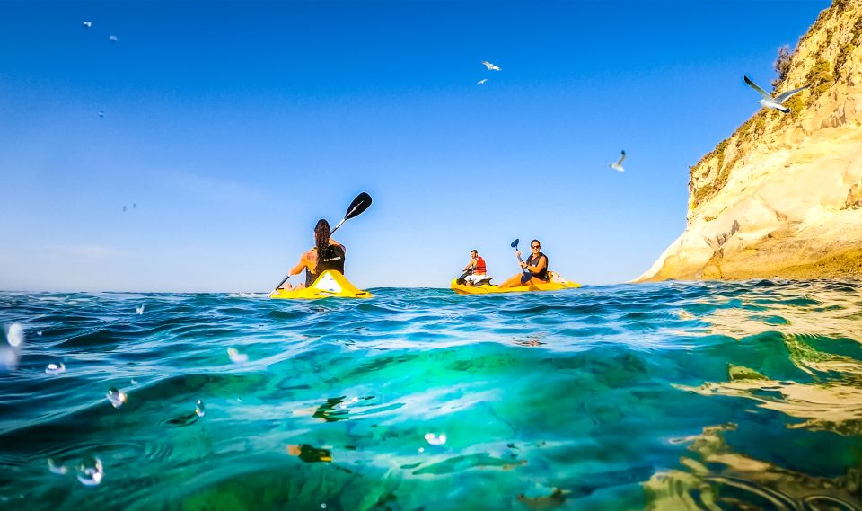 Malta: Ultimate Kayak Adventure - Swim Stops, Snorkeling Chances, and What to Bring for Water Time