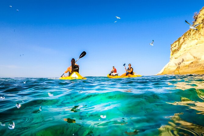 Malta: Ultimate Kayak Adventure - Sensi Watersports: Where to Meet and What to Expect on Arrival